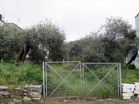 Земельный участок в Тасос