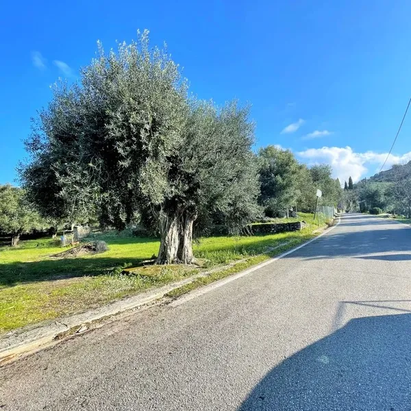 Земельный участок в Corfu, фото 1