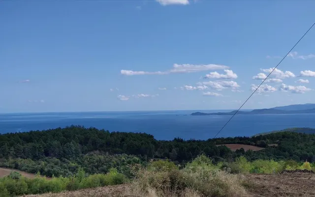 Земельный участок в Aristotle University of Thessaloniki