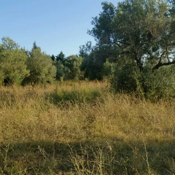 Земельный участок в Kassandra Municipality, фото 1