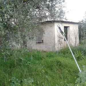 Отдельный дом в Закинтос, фото 3