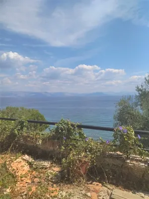 Отдельный дом в Corfu