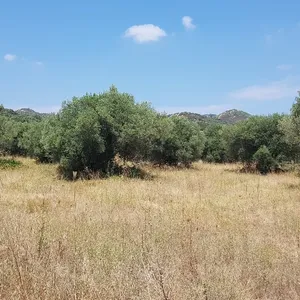 Земельный участок в Kassandra Municipality, фото 3
