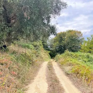Земельный участок в Corfu, фото 3