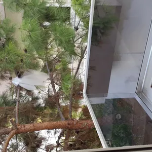 Квартира в Анталия, фото 4