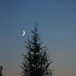 Отдельный дом в Багни ди Лукка, фото 3