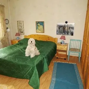 Отдельный дом в Савонлинна, фото 5