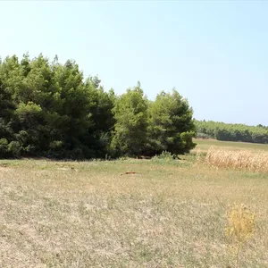 Земельный участок в Kassandra Municipality, фото 3