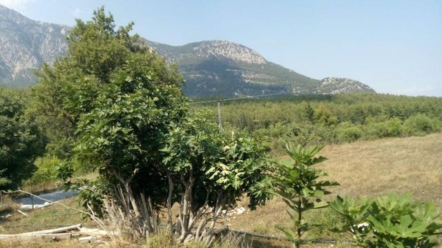 Земельный участок в Кемер