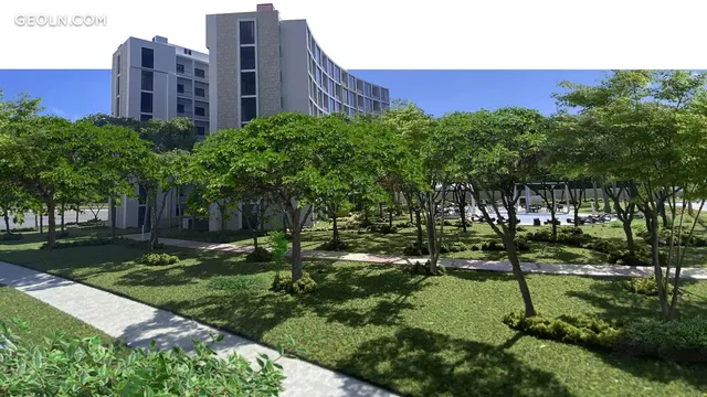 La Ceiba in Playa del Carmen