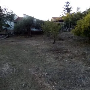 Земельный участок в Сивота, фото 5