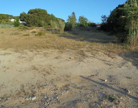 Земельный участок в Лоле