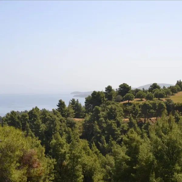 Земельный участок в Kassandra Municipality, фото 1