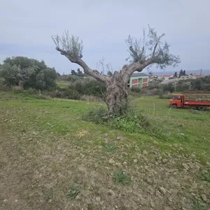 Земельный участок в Kassandra Municipality, фото 3
