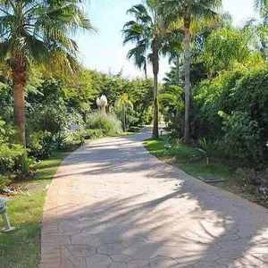 Вилла в Марбелья, фото 4