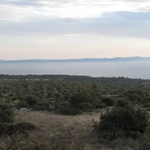 Земельный участок в Вир, фото 3