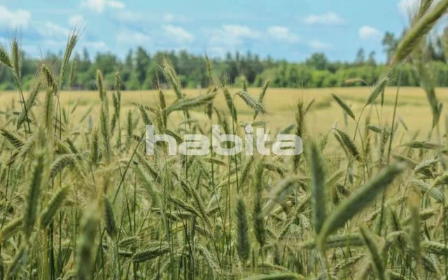 Земельный участок в Огресгала пагас