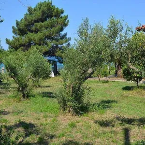 Вилла в Македония и Фракия, фото 3