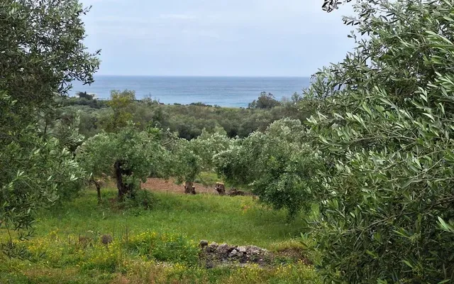 Земельный участок в Corfu
