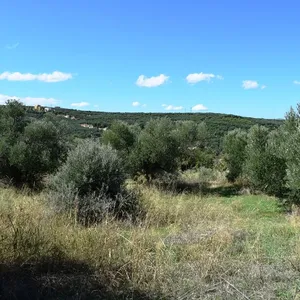 Земельный участок в Платаниас, фото 3