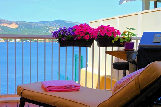 Квартира в Пальманова