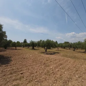 Земельный участок в Ситониа, фото 3