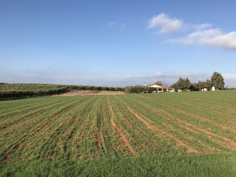 Земельный участок в Неа-Потидеа