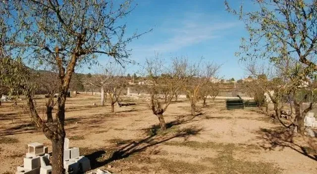 Земельный участок в Айора
