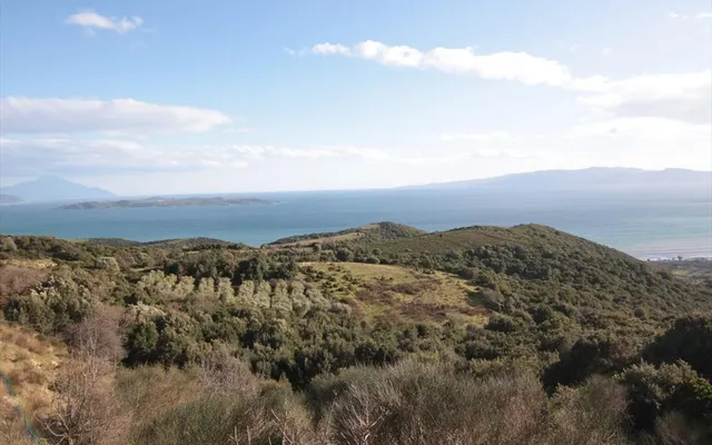 Земельный участок в Aristotle University of Thessaloniki
