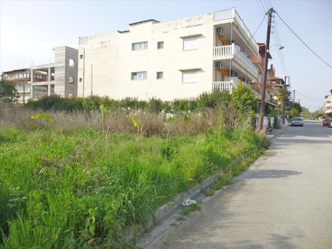 Земельный участок в Катерини