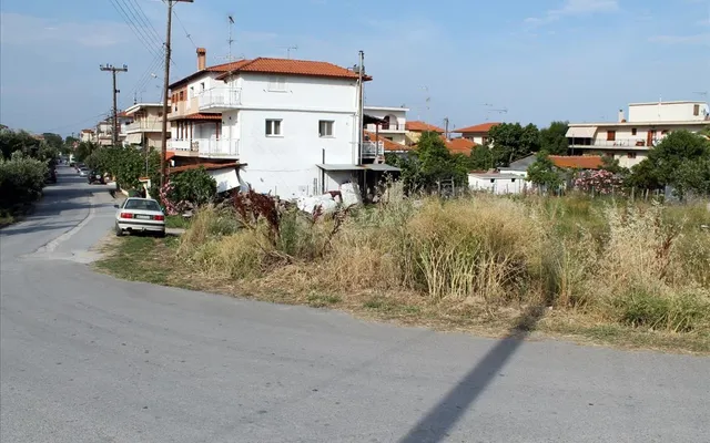 Земельный участок в Aristotle University of Thessaloniki