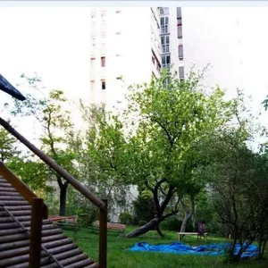 Квартира в Будапешт, фото 2