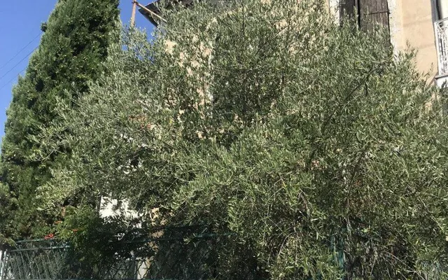 Дом в Гамбетта