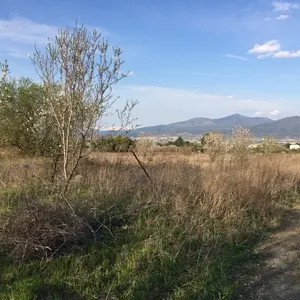 Земельный участок в Терми, фото 4