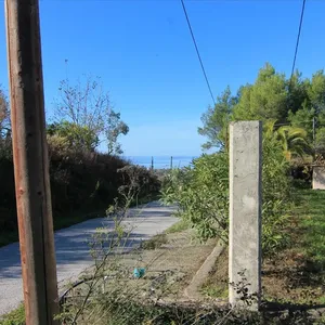 Земельный участок в Corfu, фото 2