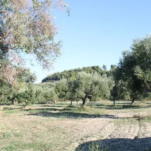 Земельный участок в Kassandra Municipality, фото 5