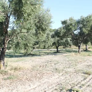 Земельный участок в Kassandra Municipality, фото 2