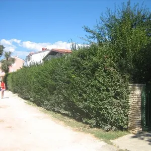 Дом в Пула, фото 3