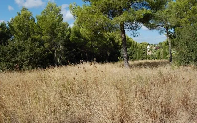 Земельный участок в Хавеа