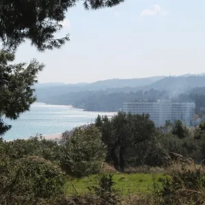 Земельный участок в Kassandra Municipality, фото 4