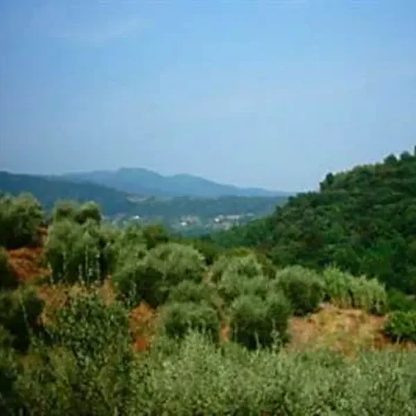 Отдельный дом в Лукка, фото 1