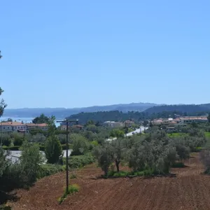 Коммерческая недвижимость в Kassandra Municipality, фото 5