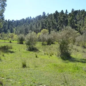 Земельный участок в Kassandra Municipality, фото 2