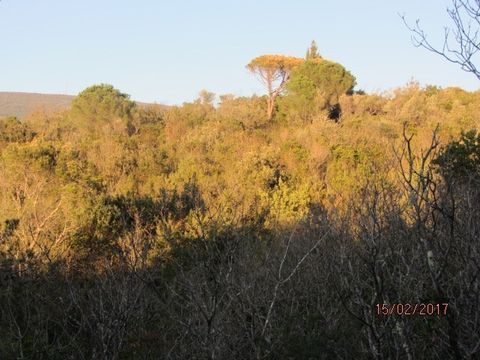 Земельный участок в Радованичи
