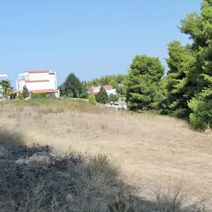 Земельный участок в Kassandra Municipality, фото 4