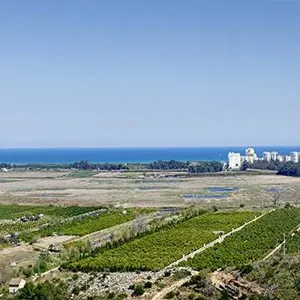 Квартира в Гандия, фото 4