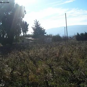 Земельный участок в Ромири, фото 4