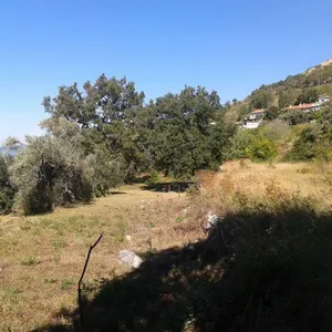 Земельный участок в Режевичи, фото 3