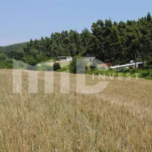 Земельный участок в Каллифея (Кассандра), фото 2