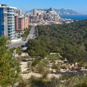 Квартира в Бенидорм, фото 5